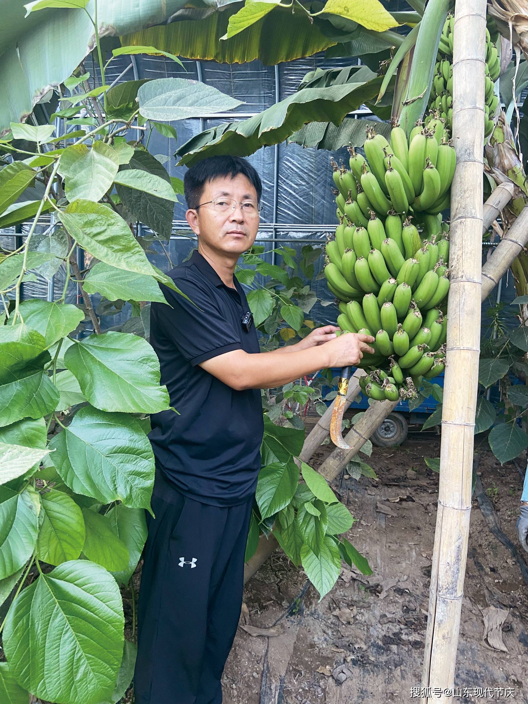 广饶县花官镇党委书记图片