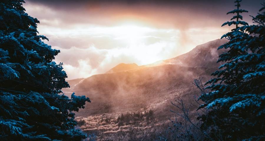 ​2022年中国家电年度汉字：勇字当头熬下去-家电圈官网