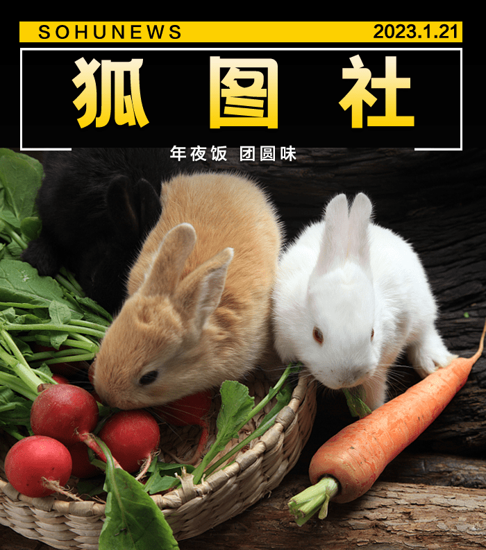 年夜饭丨兔兔这么可爱,怎么可以吃兔兔-搜狐大视野-搜狐新闻
