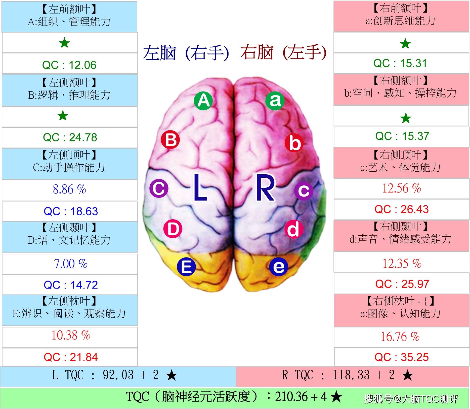 大脑皮质的功能定位图图片