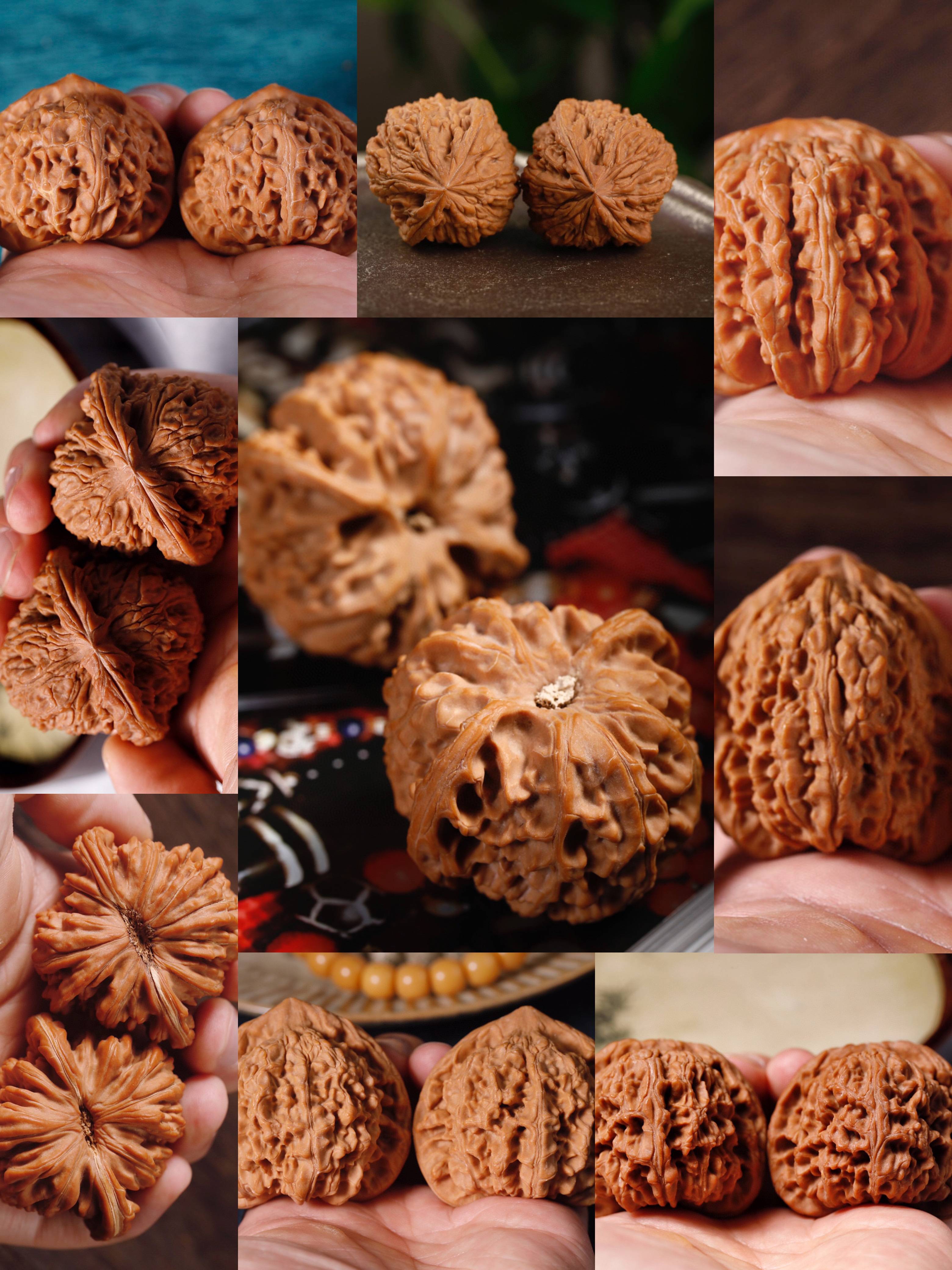 用最直观的方法，让新手玩家快速区分文玩核桃常见品种_搜狐网