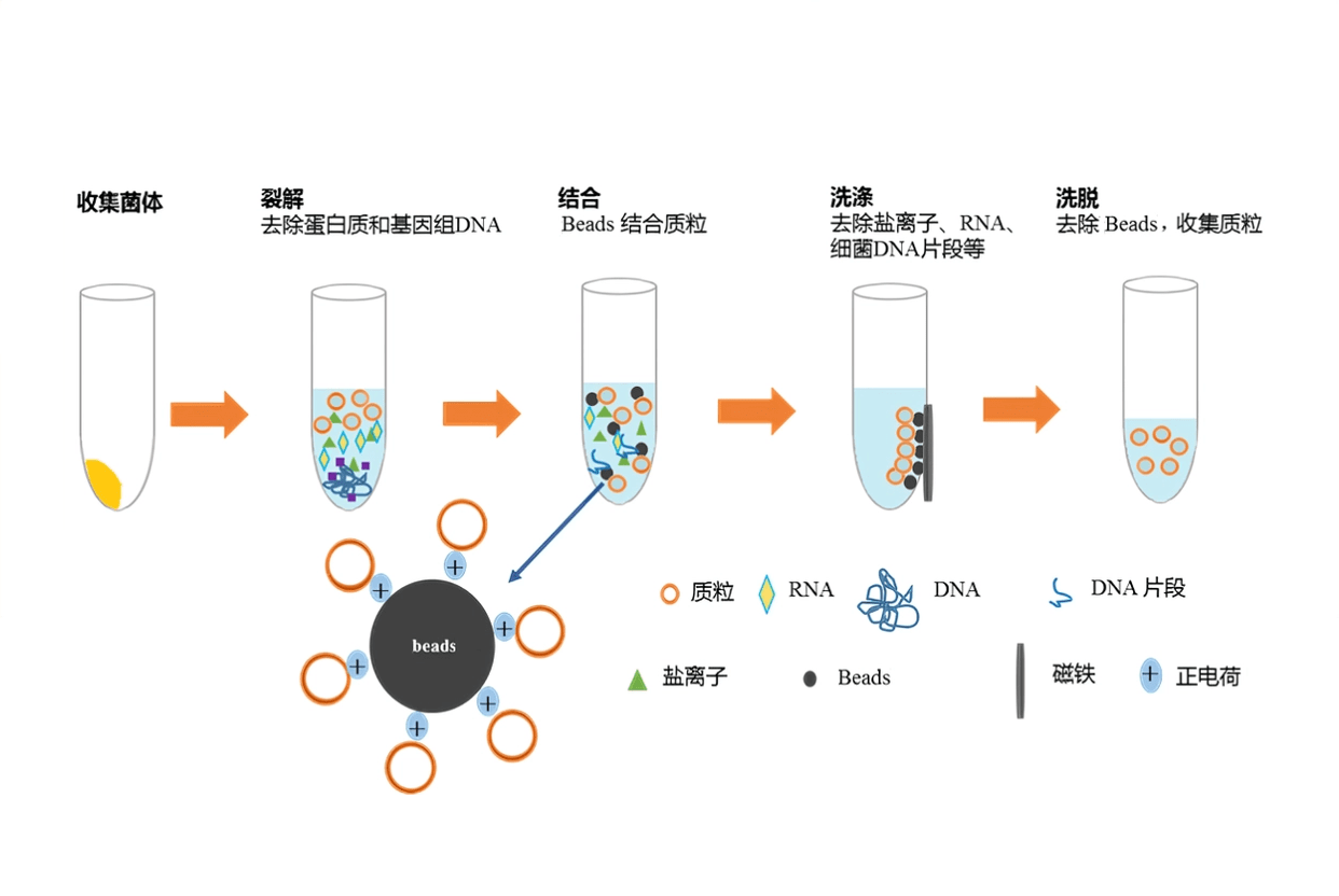 磁珠怎么用_磁珠的选型和利用
（磁珠如何使用）