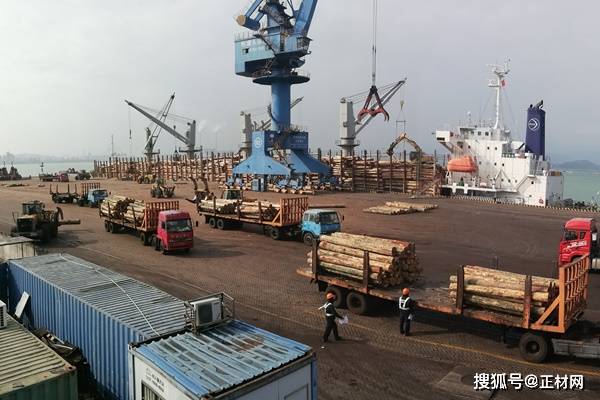 【正材网】进口原木破340万立方米，张家港木材商业飞跃