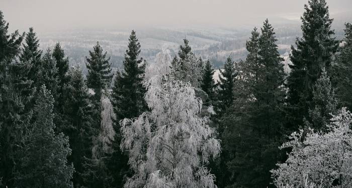 博世家电价格欺诈日立电器营销违法，家电洋品牌很狂妄-家电圈官网