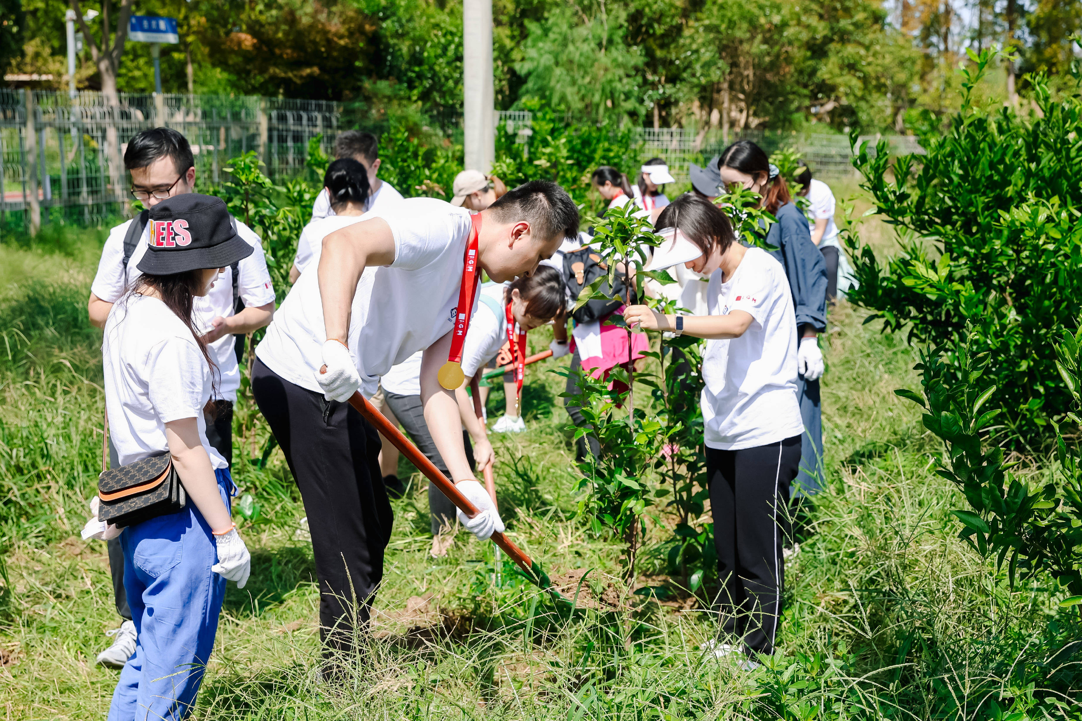 为地球增添一抹绿色 植树节团建活动方案_工作_树苗_营地