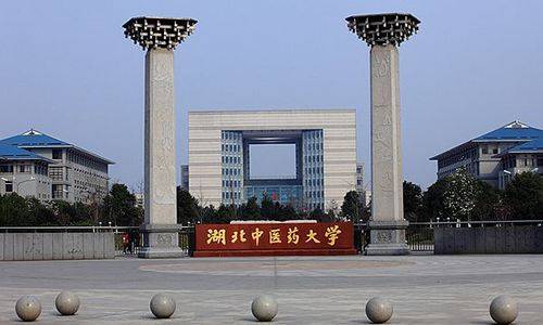 湖北中医药大学2023年成人高考报名招生简章_办学_教育_学费