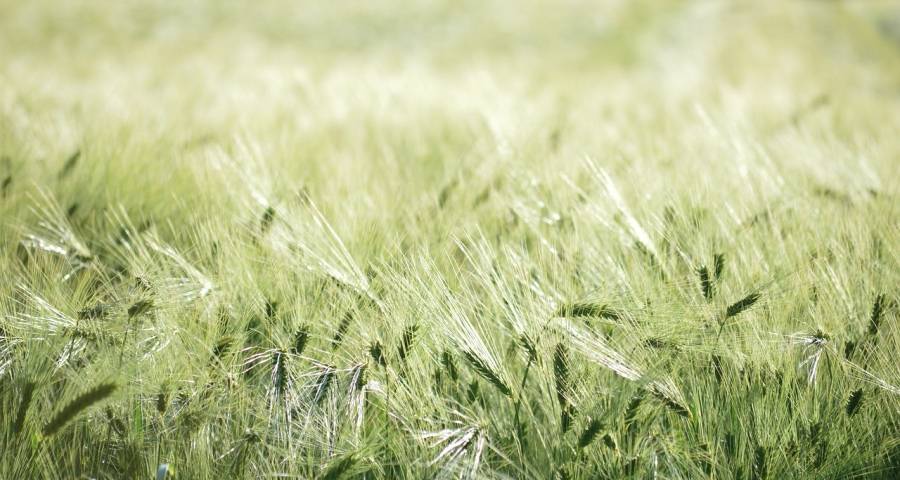 今春家电市场开局火爆或昙花一现?概率较小-家电圈官网