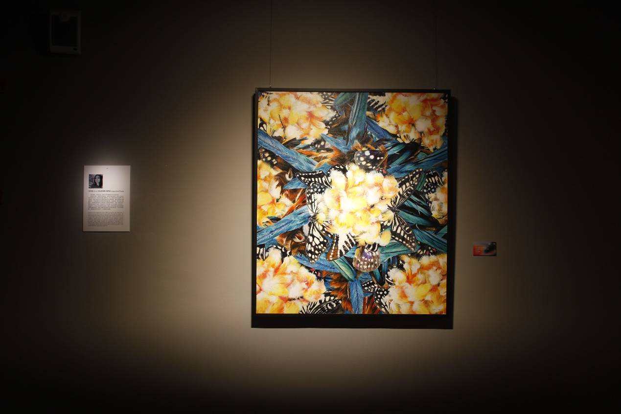 “回响“当代女艺术家联展开启双城联动湖州美术馆展出