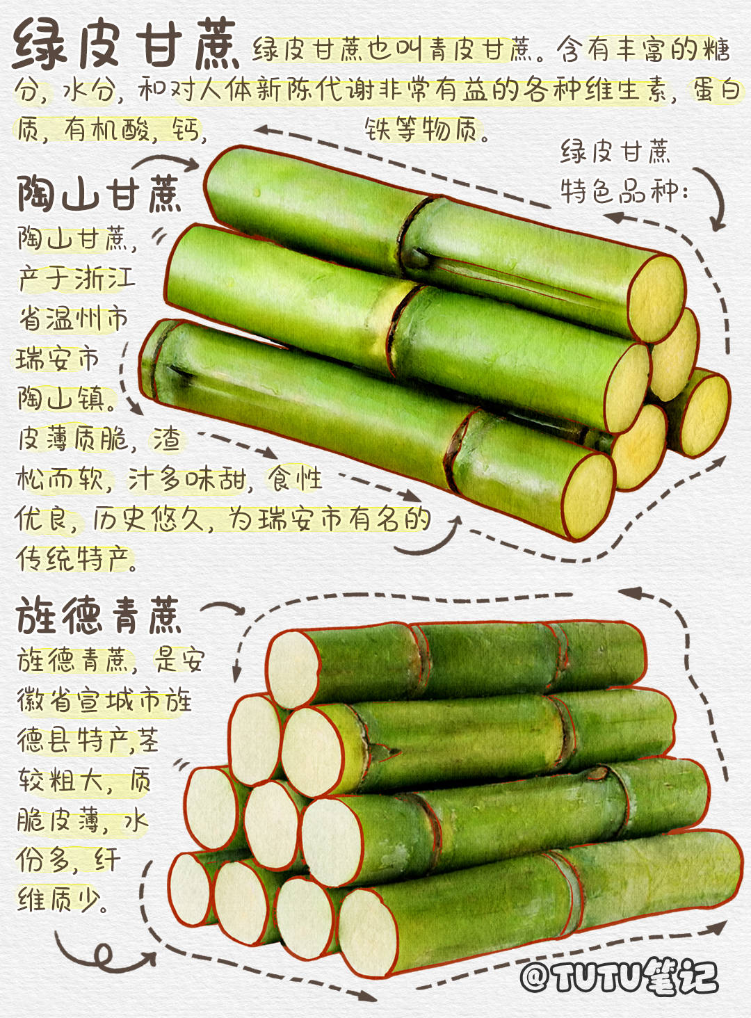 原来甘蔗竟然有这么多种颜色,甘蔗分类图鉴-搜狐大视野-搜狐新闻