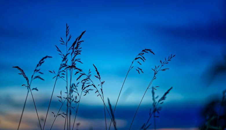 家电“以换代修”,是厂商服务营销创新不是产业转型趋势-家电圈官网