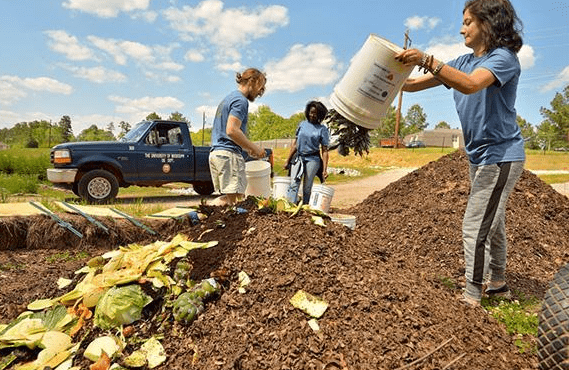 城市垃圾处理技术---堆肥处理_含量_系统_我国