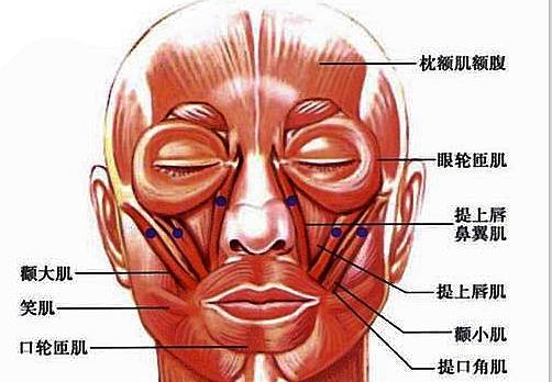 面肌痉挛早期辨别图片