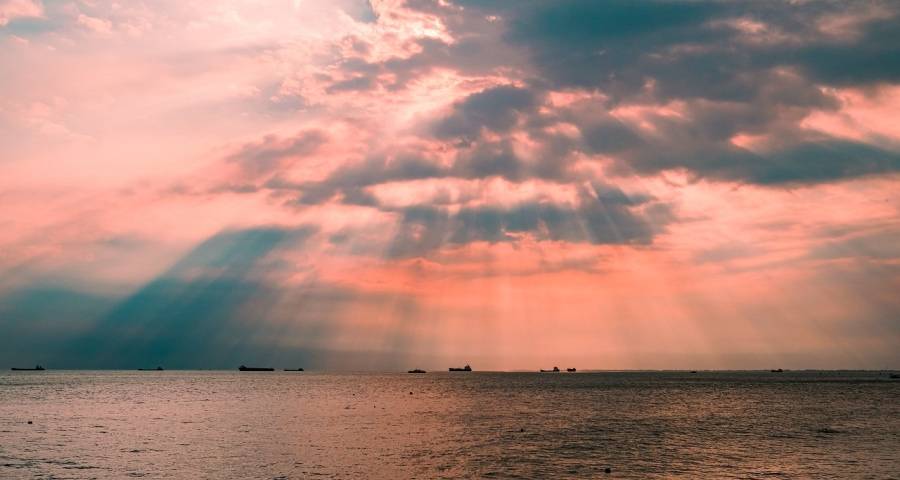 家电市场烧旺:卡萨帝海信TCL推新,格兰仕美菱帅康奥马京东出招-家电圈官网