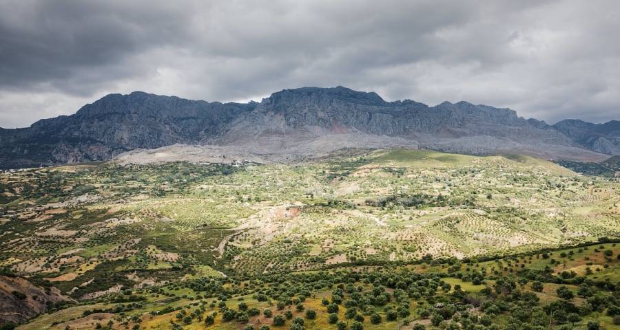 风险与失控是今年家电业的新隐患-家电圈官网