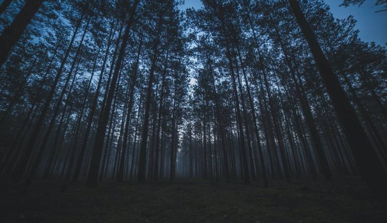 产品质量问题持续不断,或成今年集成灶市场的“黑天鹅”-家电圈官网