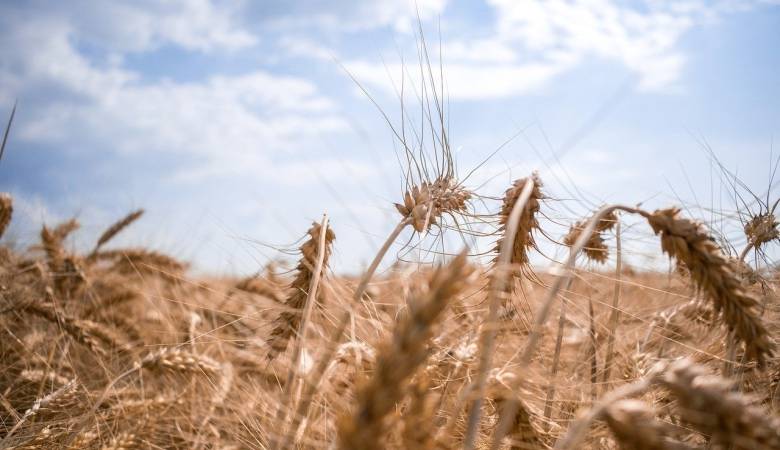 今年家用空调企业和商家，有两个长尾市场值得深耕！-家电圈官网