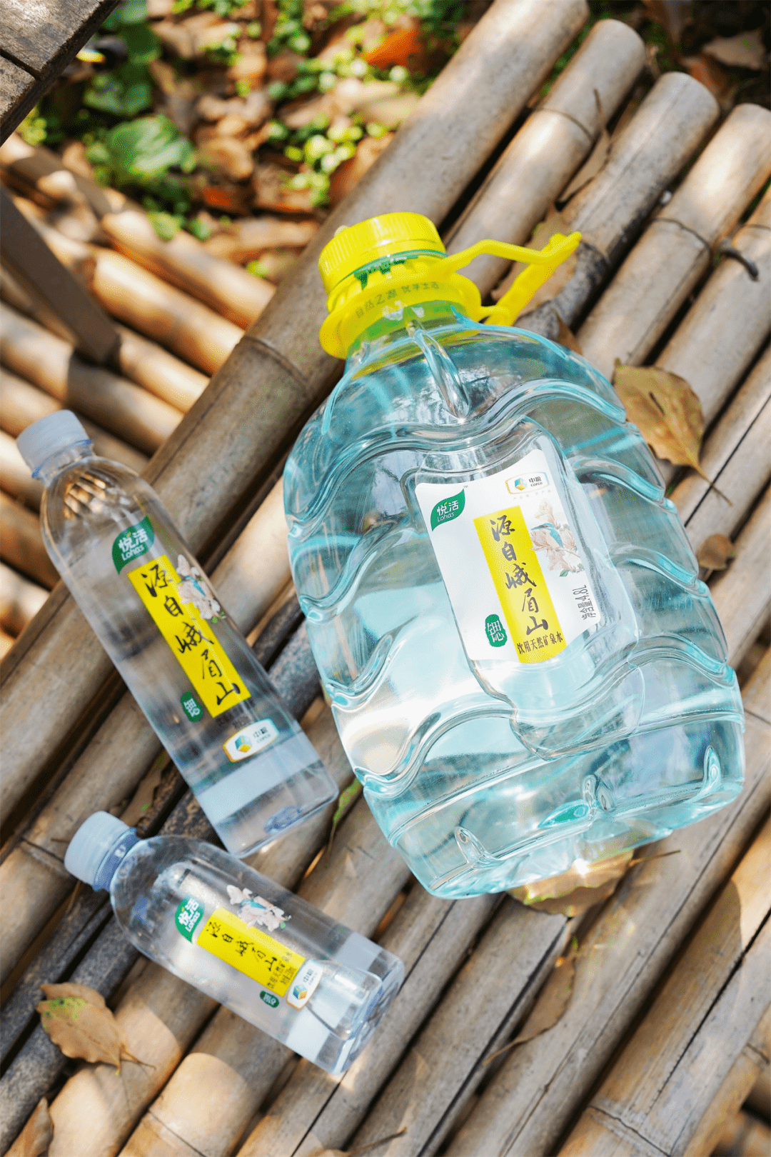 「峨眉山踏青攻略」来啦,在山水之间,一路捕捉春色!_大自然_元素_植被