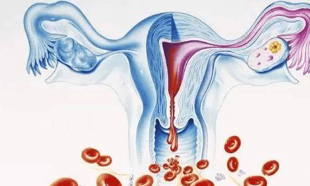 月经3天干净和7天干净的女性,哪种人更易衰老?