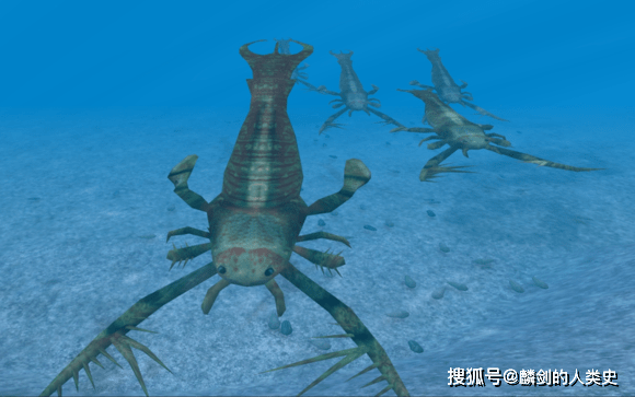 【动物界全系列】板足鲎纲—翼肢鲎超科_大陆_其他_西利蒙斯