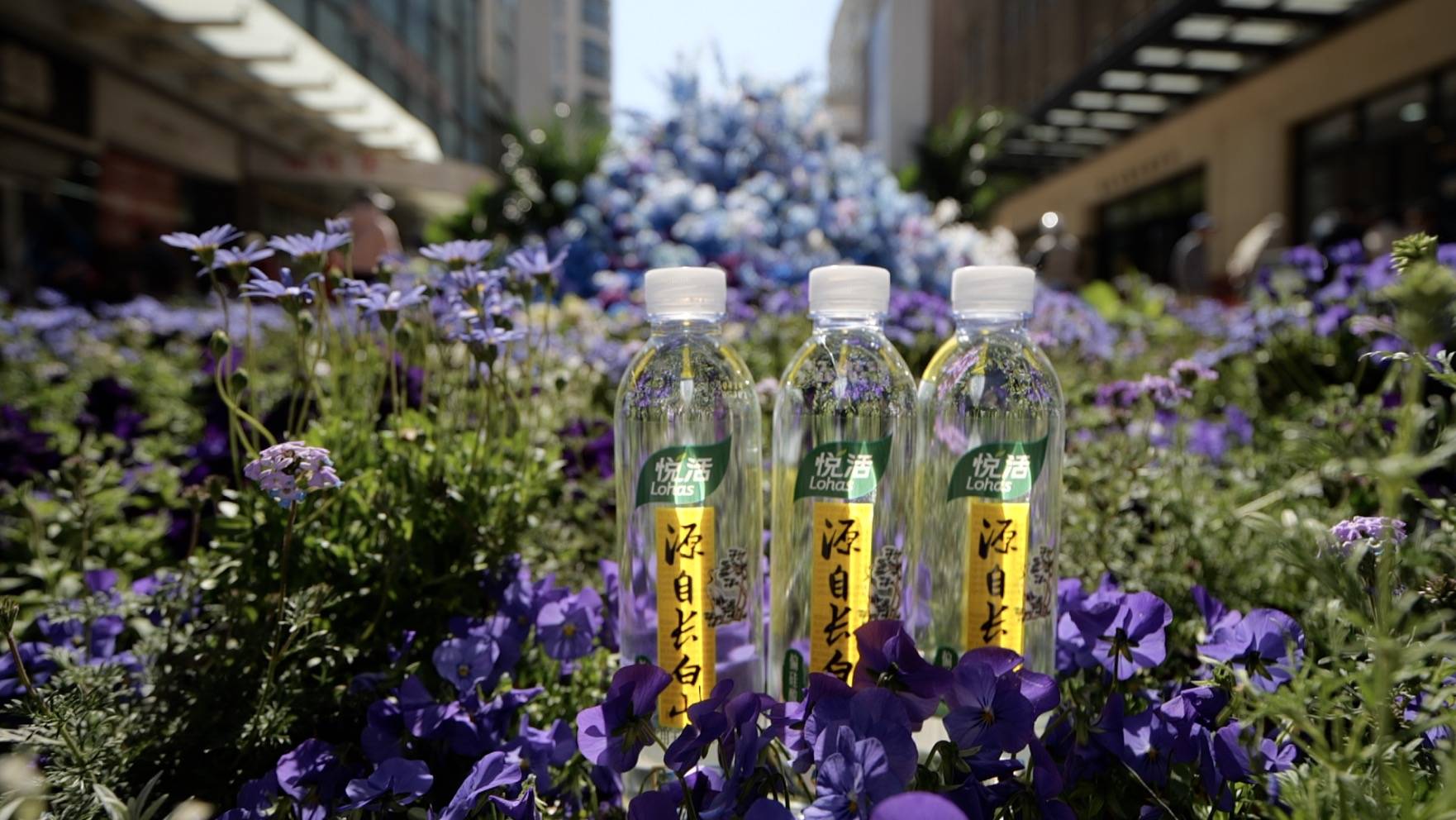 中粮悦活长白山天然矿泉水带你"五.一"玩转大连_天津街_城市_消费者