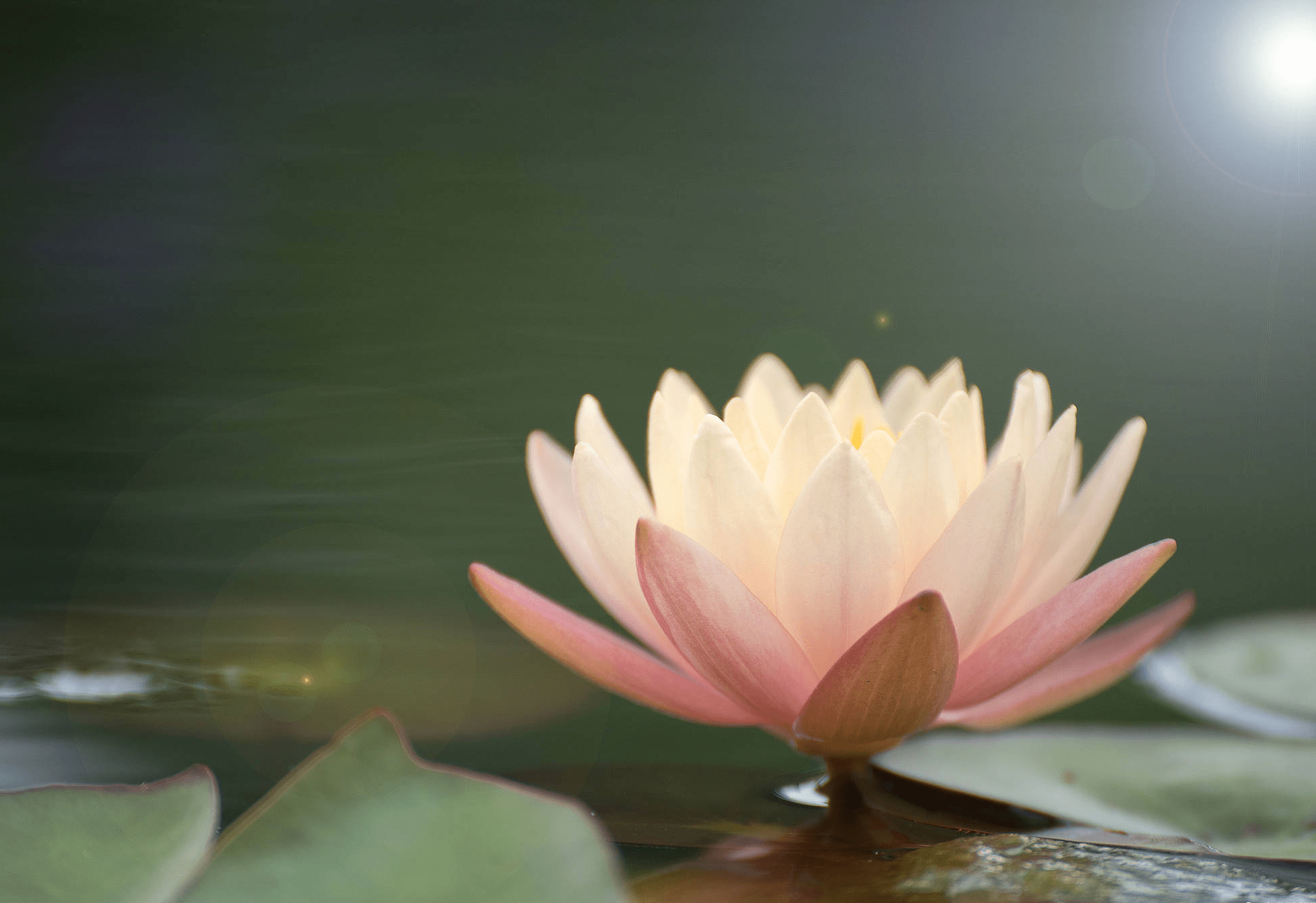 末法时期一定要认清"邪师说法如恒河沙"的事实_众生_佛法_沙门