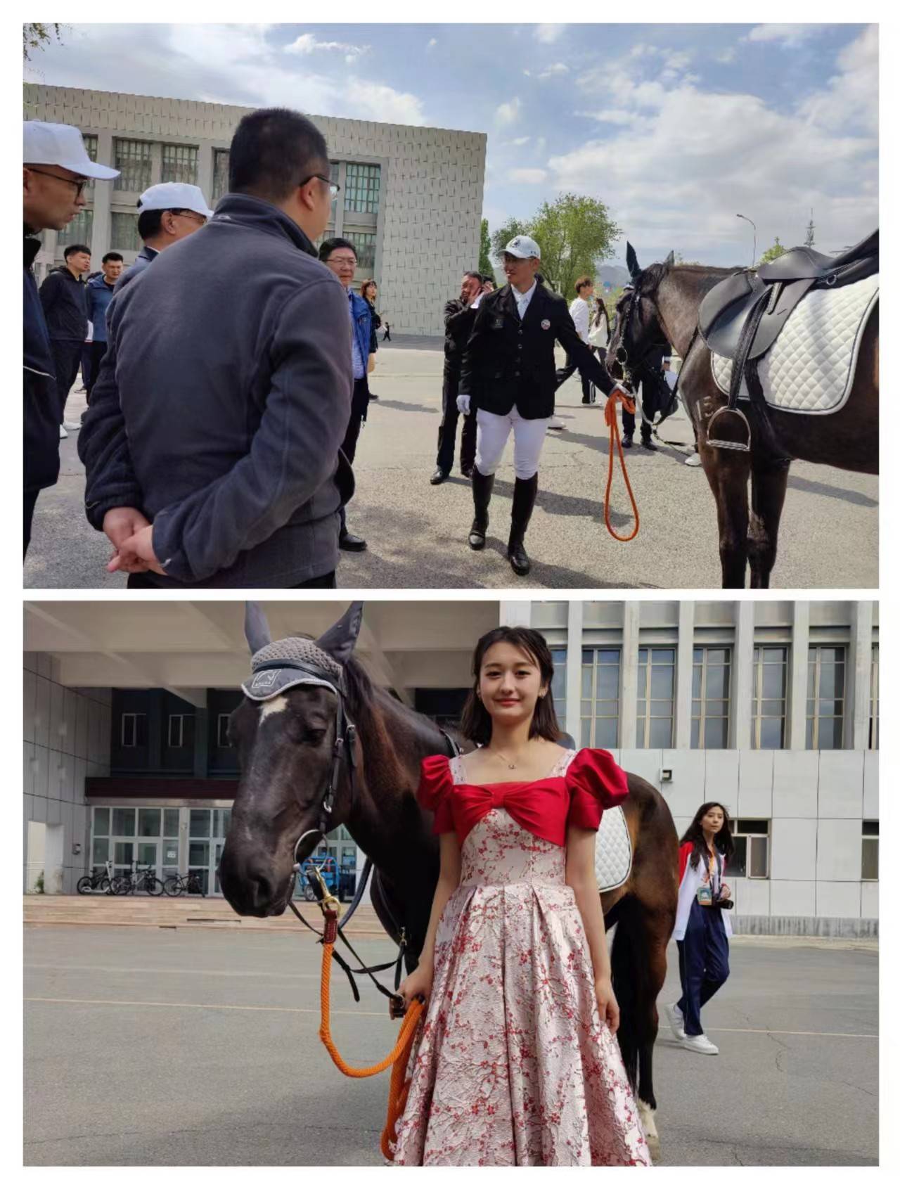 驰骋赛场,马到成功_马业_人才_新疆