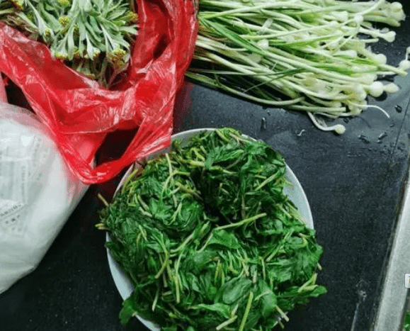 美味野菜虽营养,这5种自带毒素的要远离_食用_症状_曲菜