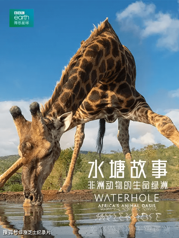 9122-BBC纪录片《水塘故事：非洲动物的生命绿洲 Waterhole:Africa’s Animal Oasis 2020》第一季全3集 英语中英双字 纯净版 1080P/MKV/8.91G 非洲草原水源故事