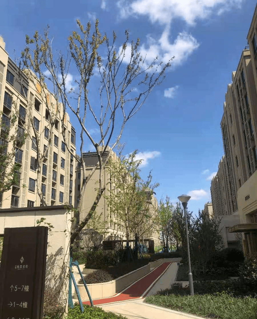 7天连锁酒店(太仓沙溪古镇店),太仓雅圣酒店,沙头客栈,临江仙民宿