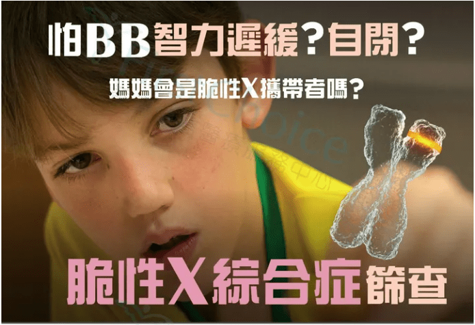 脆性x综合征筛查去哪做?_进行_测试_女性