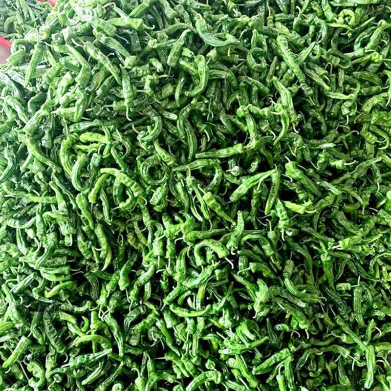 同乐皱皮椒薄皮香椒辣椒种子_种植_大棚_露地