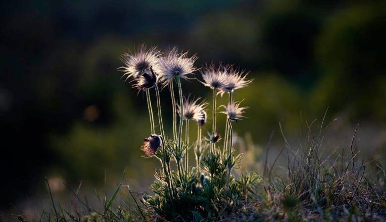 实力派家电经销商，最近几年都在悄悄干这件事情！-家电圈官网