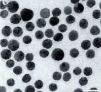 普通聚苯乙烯微球（1-2微米)；polystyrene microsphere