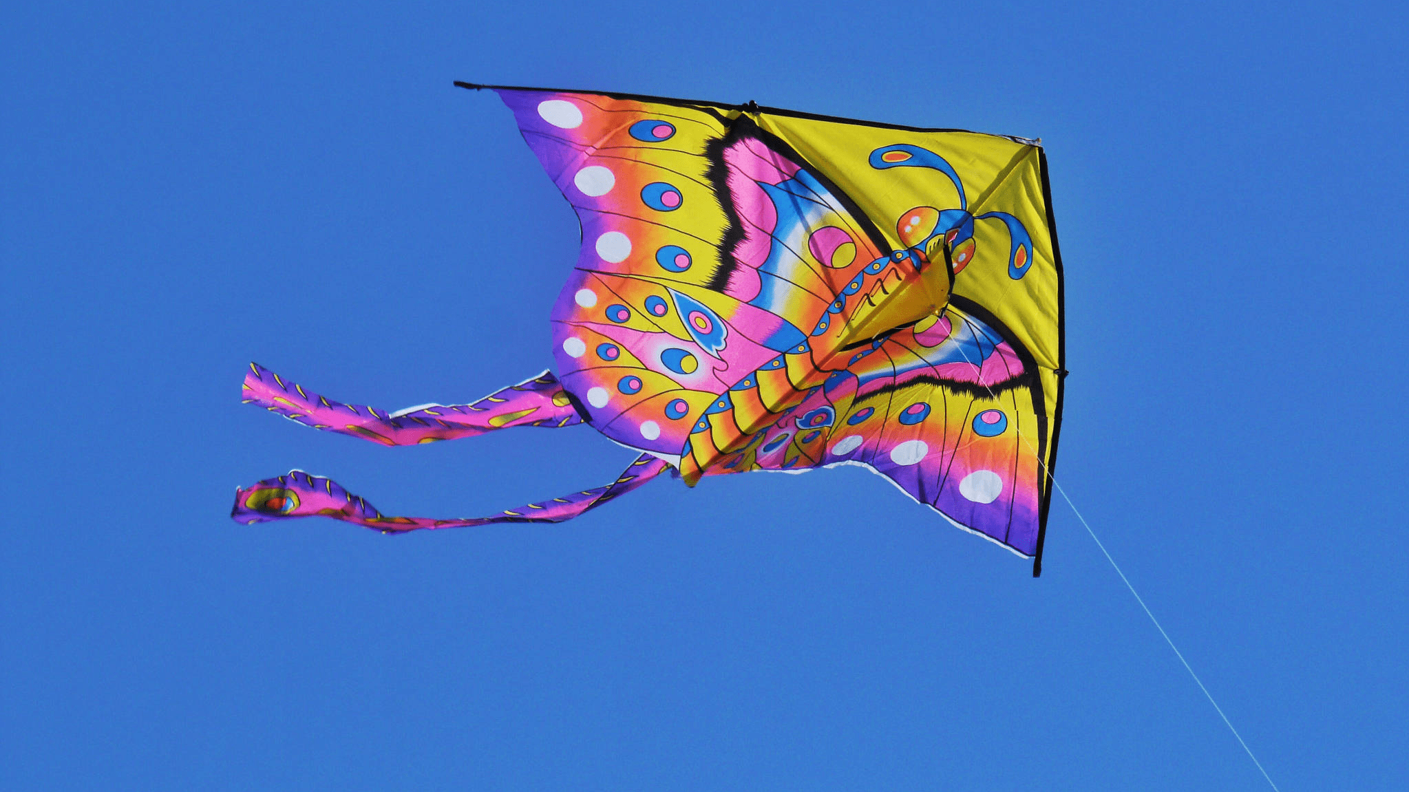 风筝通常都会拖着长长的尾巴,这主要是为了稳定飞行 蚂蚁庄园今日答案