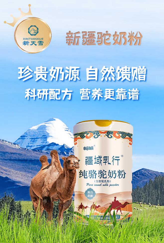 驼奶厂家说实话了!_黄金_骆驼_新天
