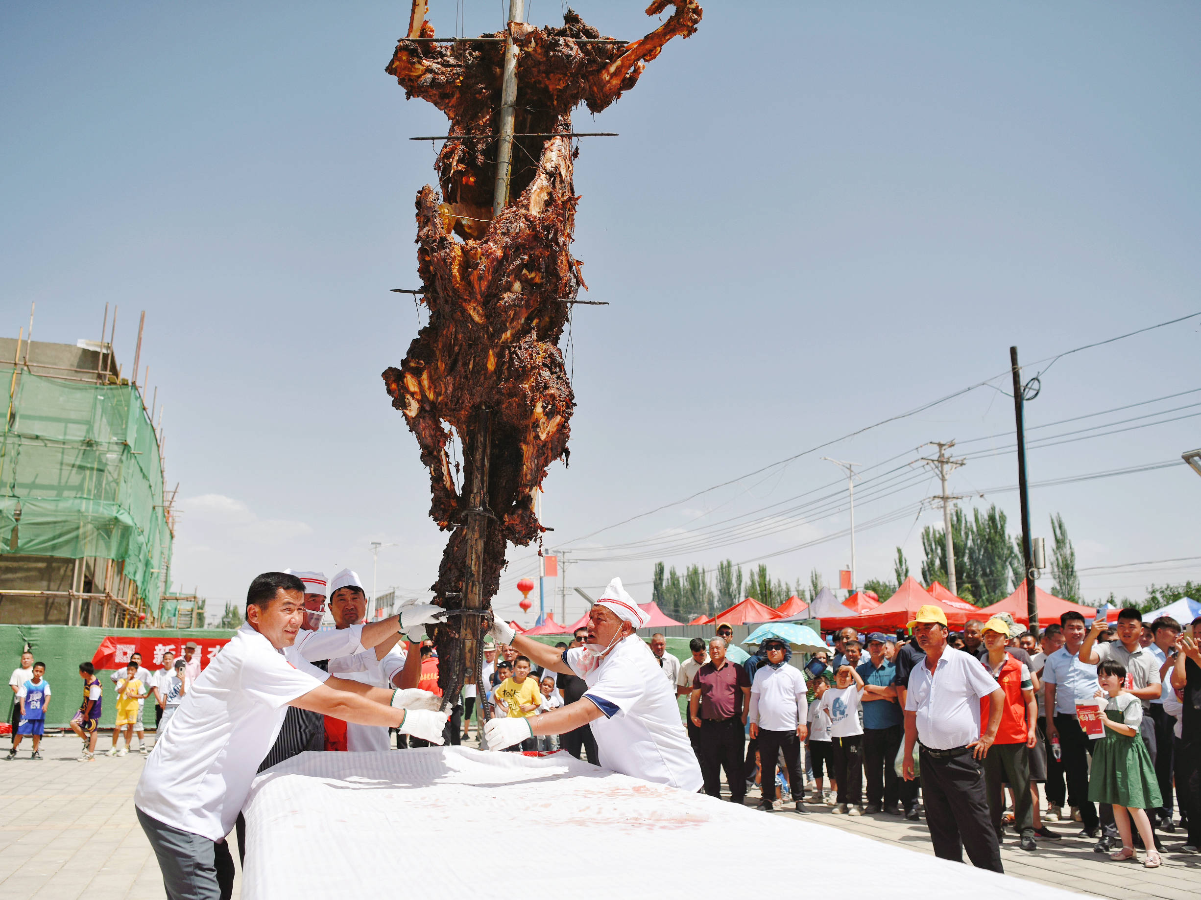 轮台县烤制全驼供游客免费品尝_骆驼_木沙_来自