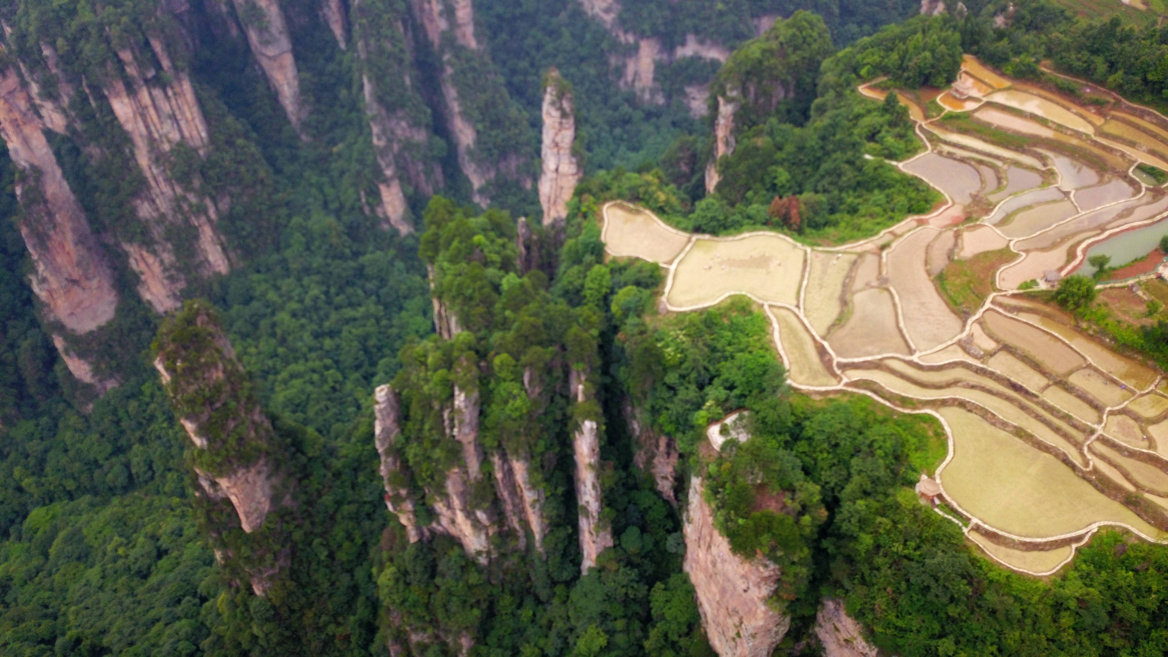 张家界空中田园图片图片