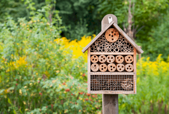 创意手工diy | 五星级昆虫旅馆_保护_蜡油_木材