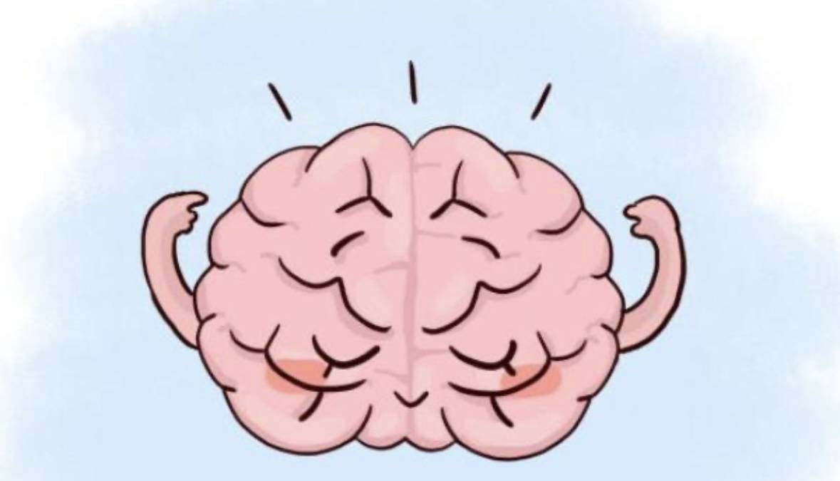 都说宝宝变聪明有关键期,那都有哪些关键期呢?_大脑_基本_成人