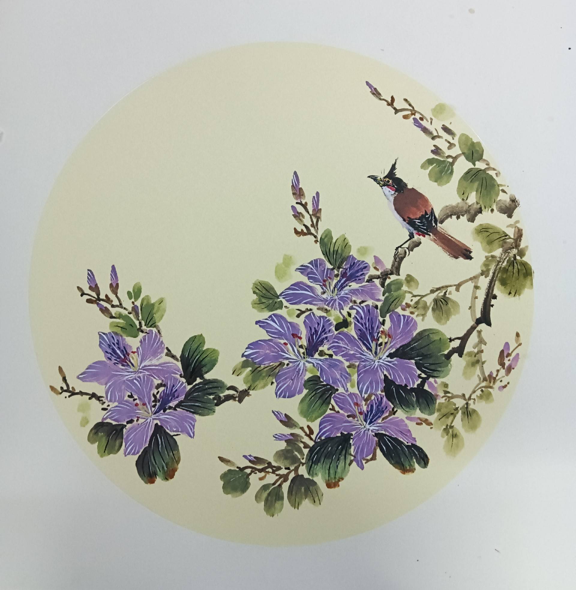 王建强——中国美术家协会会员_花鸟_岭南_四会市