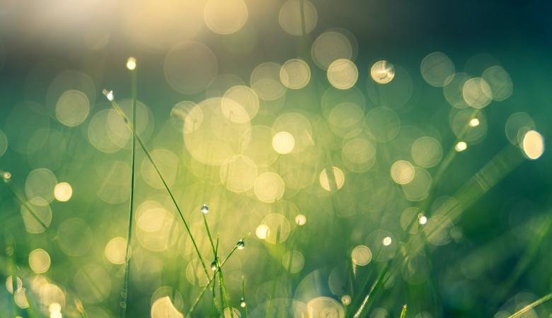 日本家电卖场山田电机卖车了，中国家电渠道商们能否借鉴？-家电圈官网