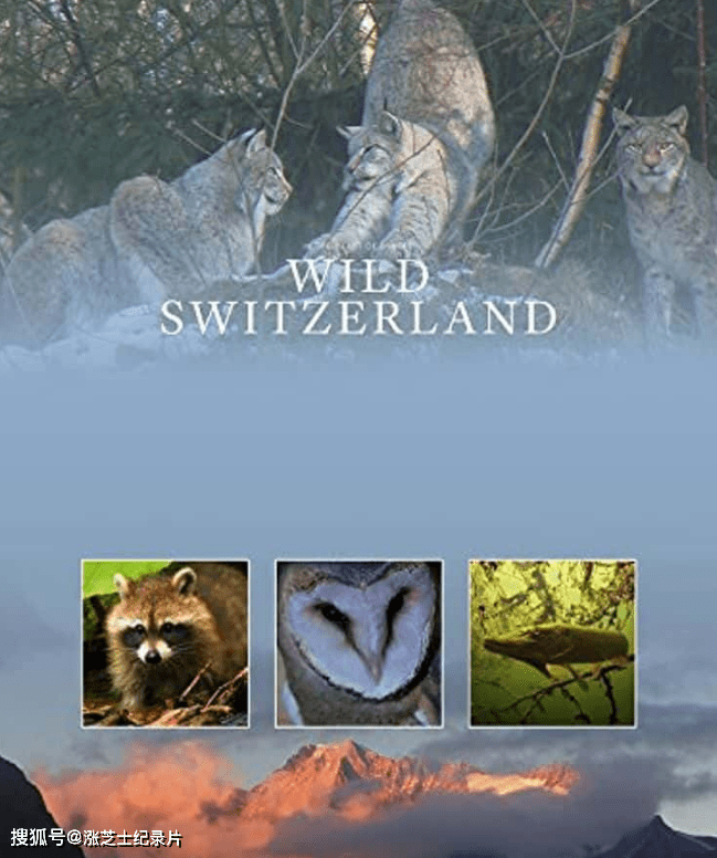 9637-德国纪录片《狂野瑞士 Wilde Schweiz 2017》全4集 德语中英双字 官方纯净版 1080P/MKV/5.52G 瑞士生态