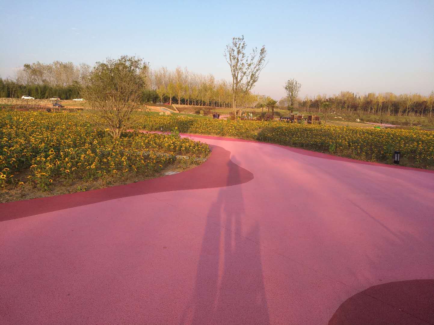 佳境生态:生态透水混凝土助力海绵城市建设