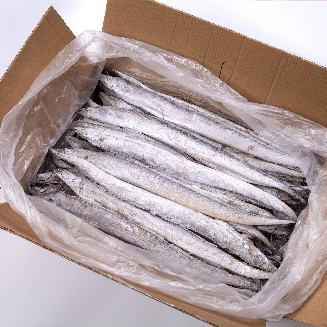 冻带鱼的进口清关,应如何进行?_报关_资料_动植物