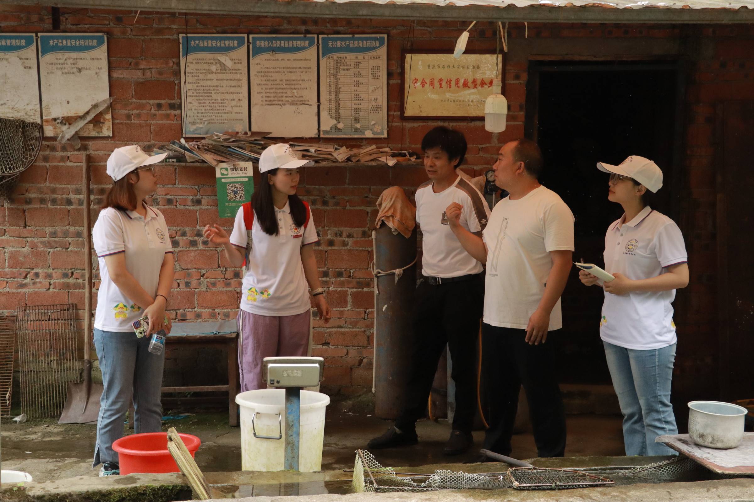 重庆对外经贸学院三下乡:探究冷水鱼养殖,感受飞水洞之