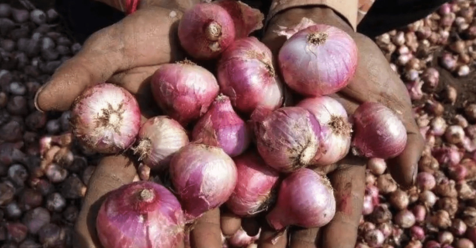 据悉,在今年3月,受多重因素影响,印度洋葱的价格不足此前九分之一