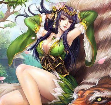 孙权女儿坏,司马懿老婆毒,袁绍老婆变态_张春华_孙亮_孙鲁班