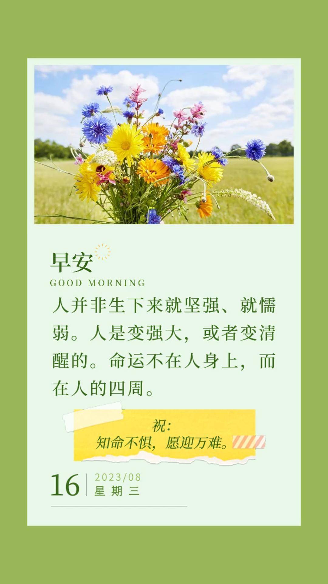8月16日微语简报,早安日签_回应_调整_新闻