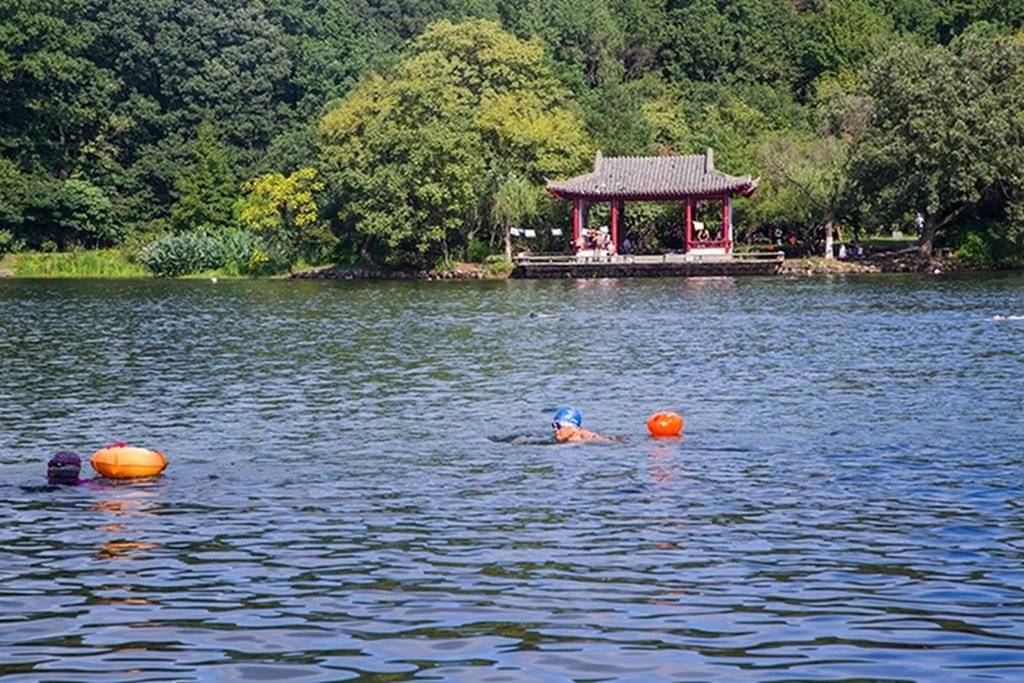 【每日一景】山林中的紫霞湖_明孝陵_南京市_林海