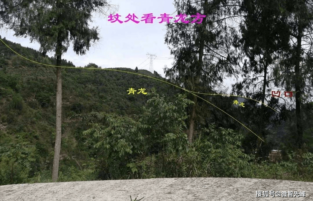 生挖硬凿,左凹前逼,斗煞严重_坟茔_廖氏云_先生
